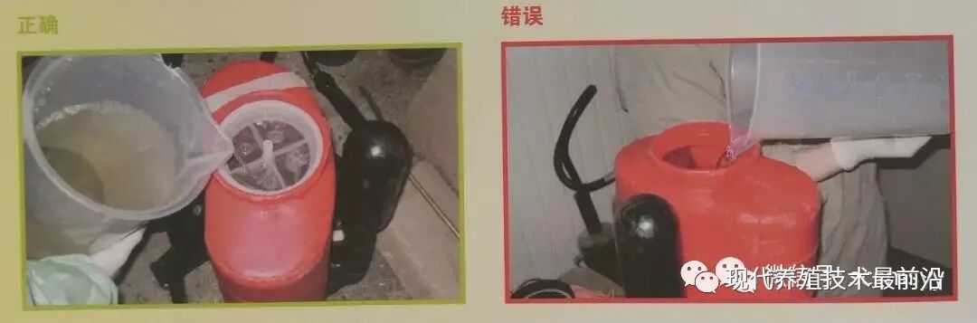 qw28.jpg