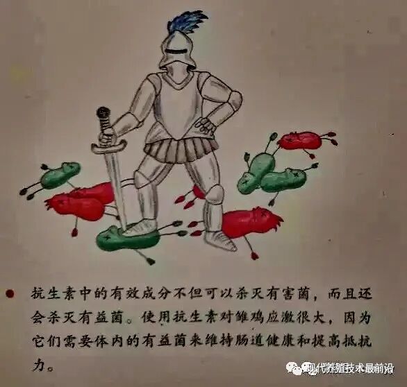 qw30.jpg