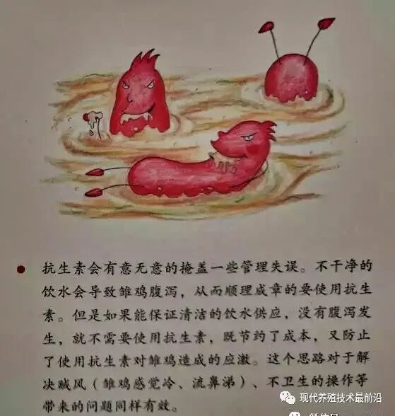 qw33.jpg
