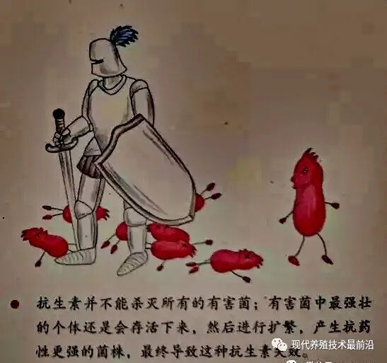qw31.jpg