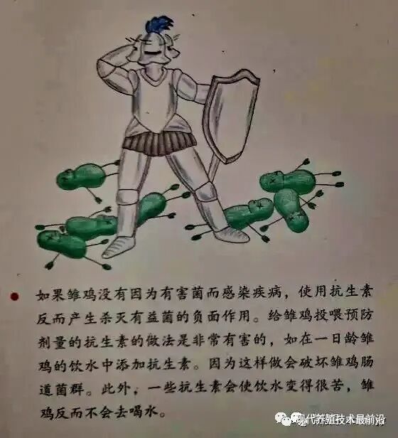 qw32.jpg