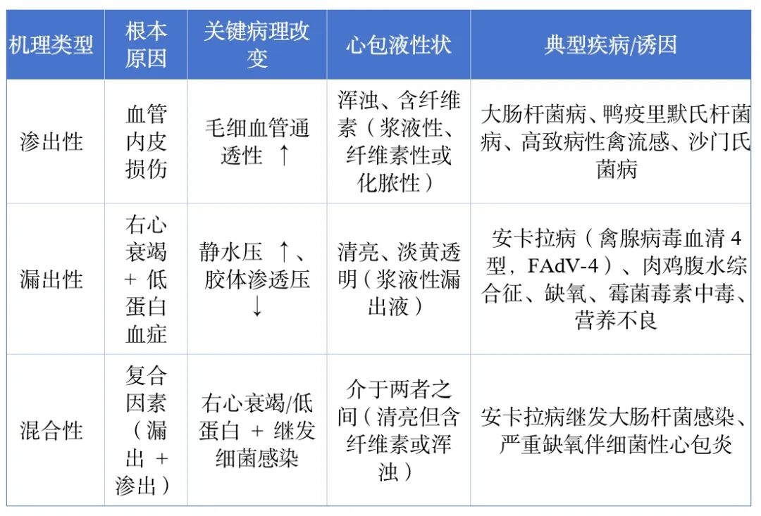 qw3.jpg