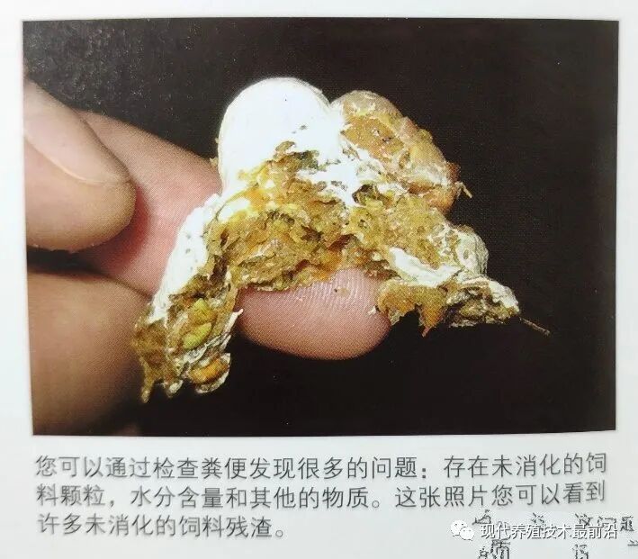 qw5.jpg