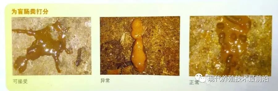 qw7.jpg