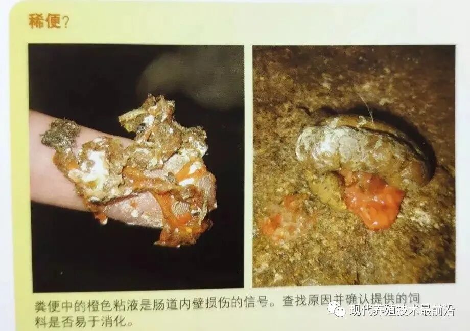 qw8.jpg