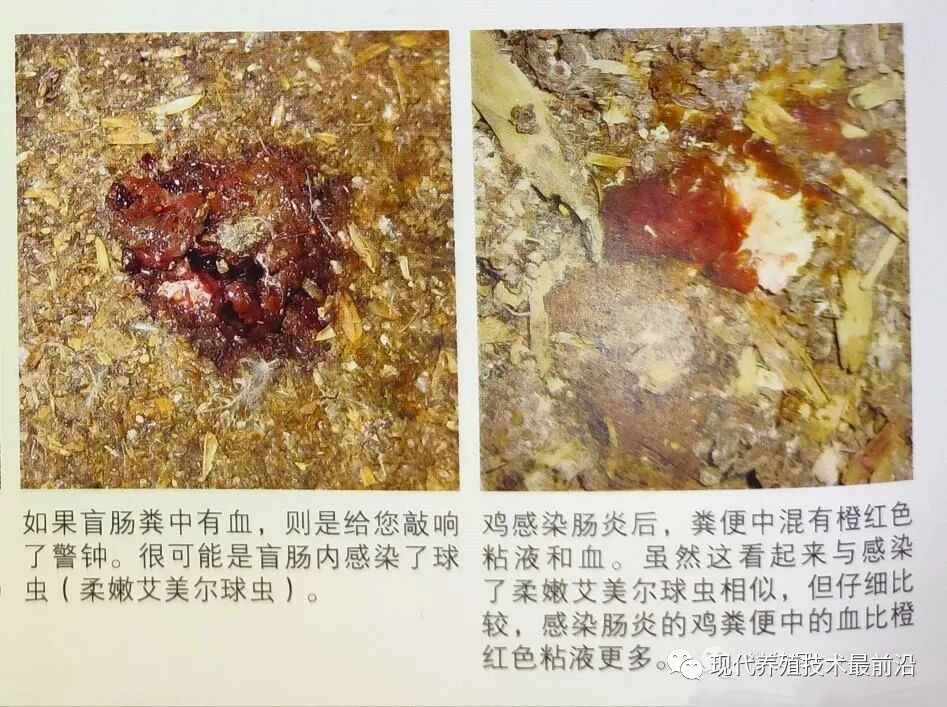 qw11.jpg