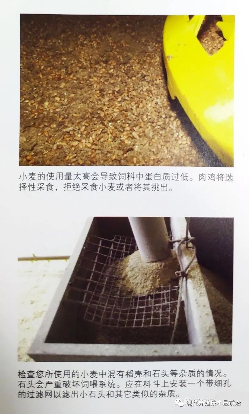 qw18.jpg