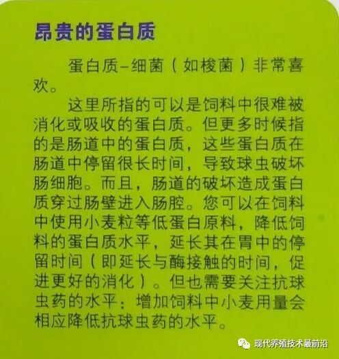 qw22.jpg