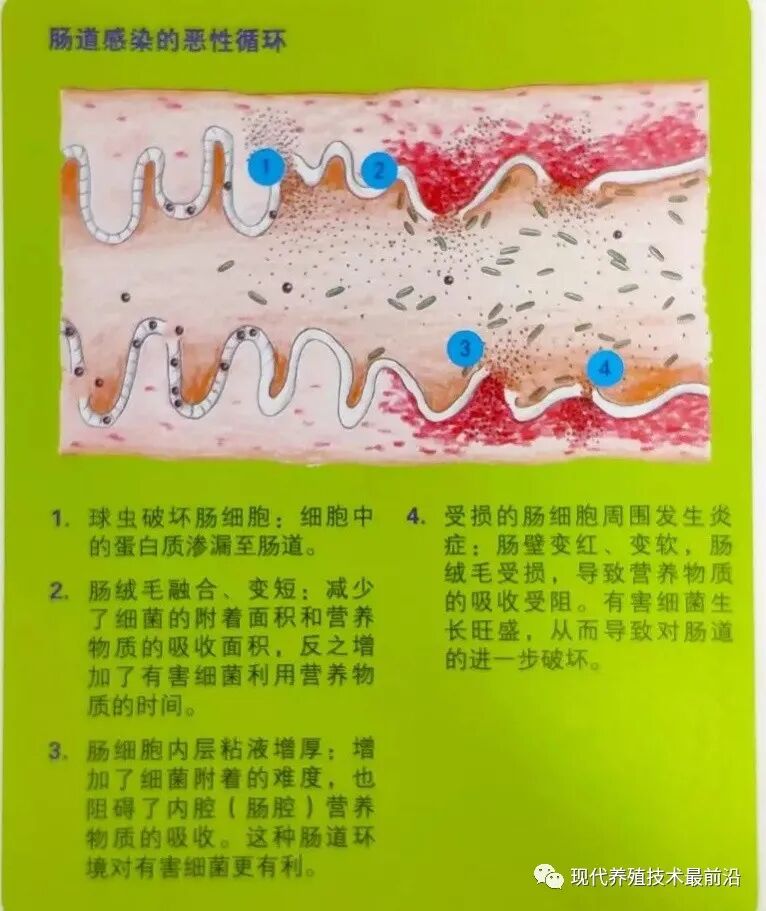 qw20.jpg