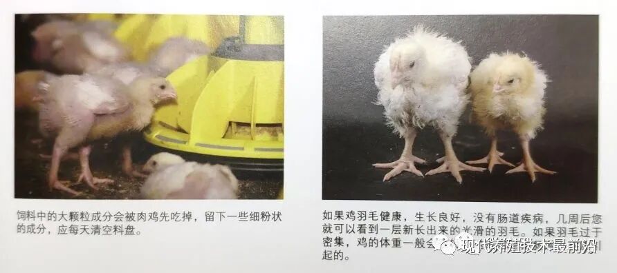 qw29.jpg