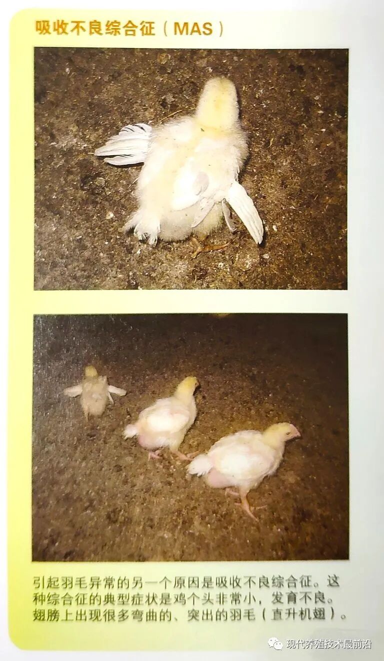 qw28.jpg