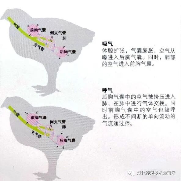 qw5.jpg