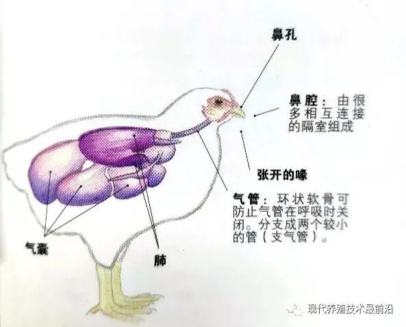 qw4.jpg