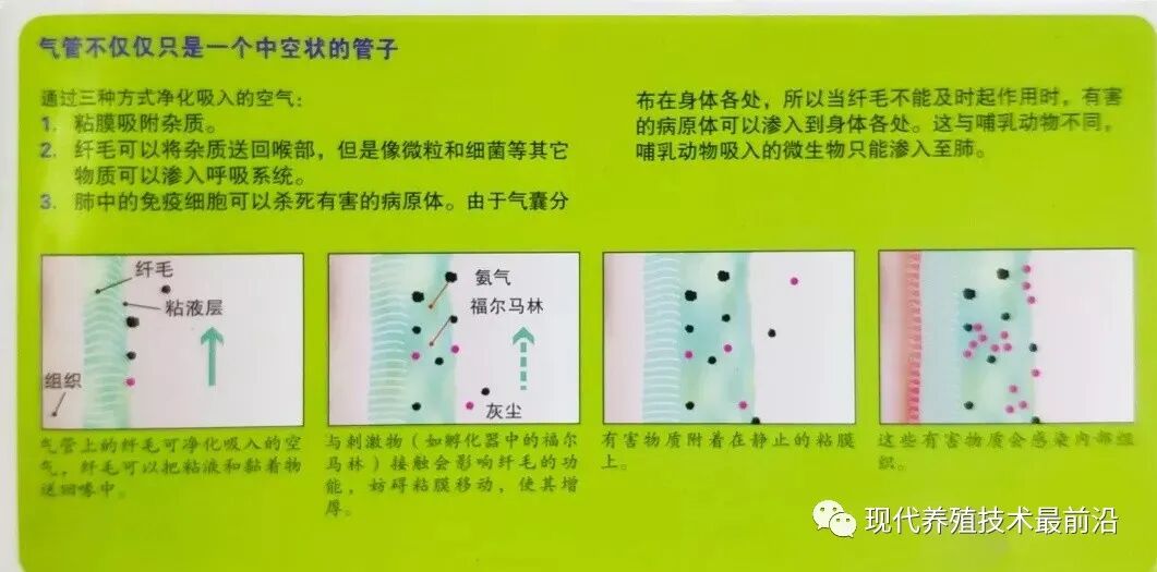 qw6.jpg