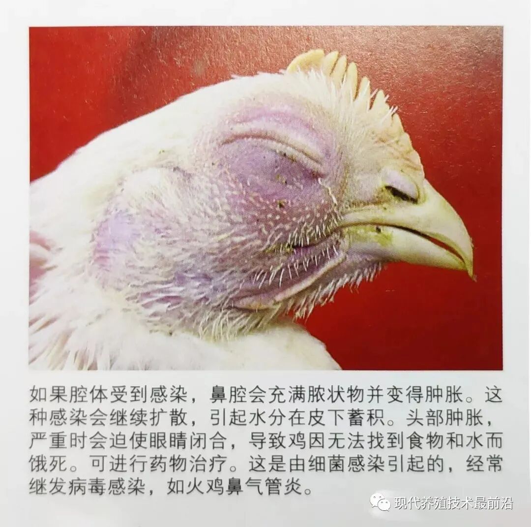 qw8.jpg