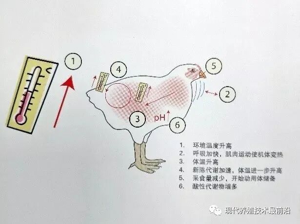 qw14.jpg