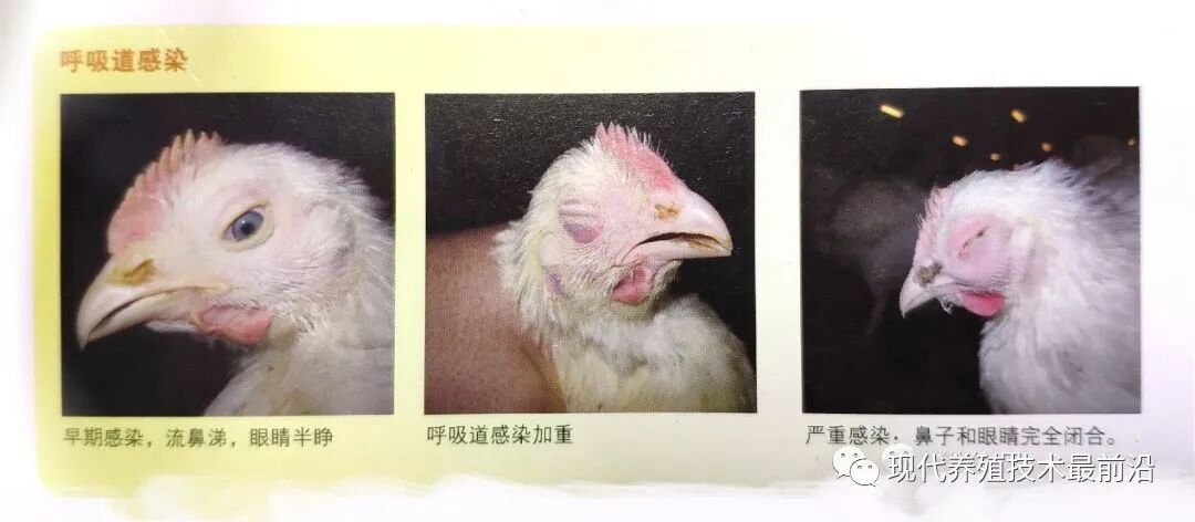qw7.jpg