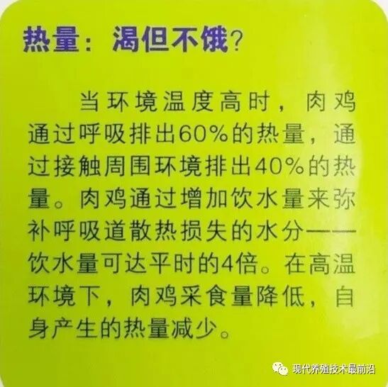 qw15.jpg