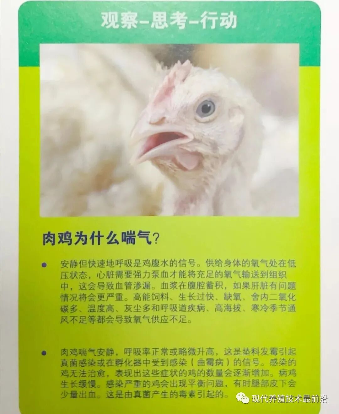 qw18.jpg
