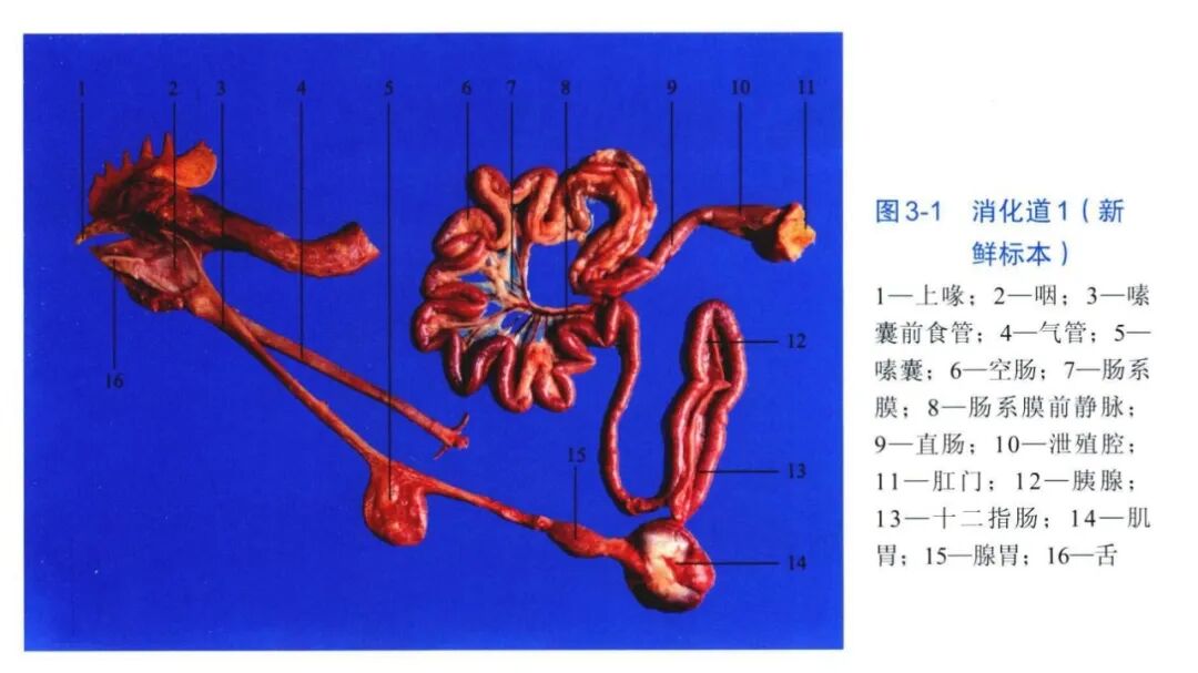 qw5.jpg