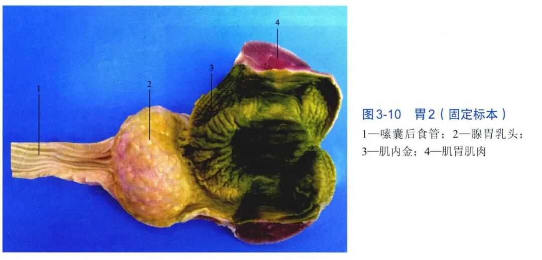 qw10.jpg