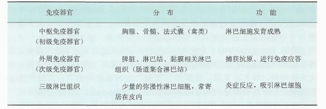 qw3.jpg