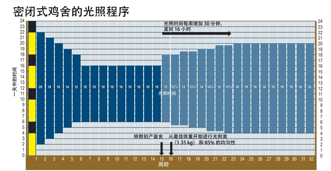 qw4.jpg
