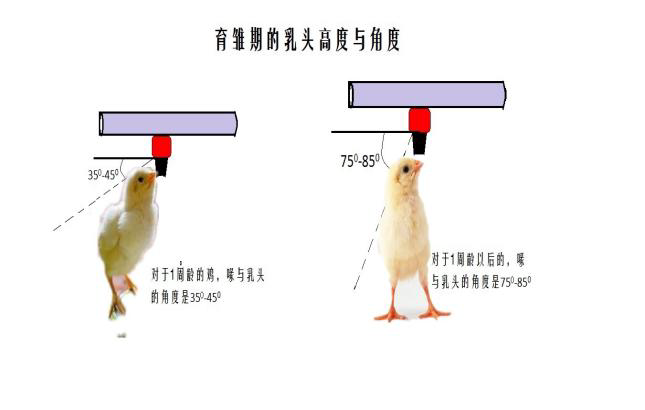 qw3.jpg