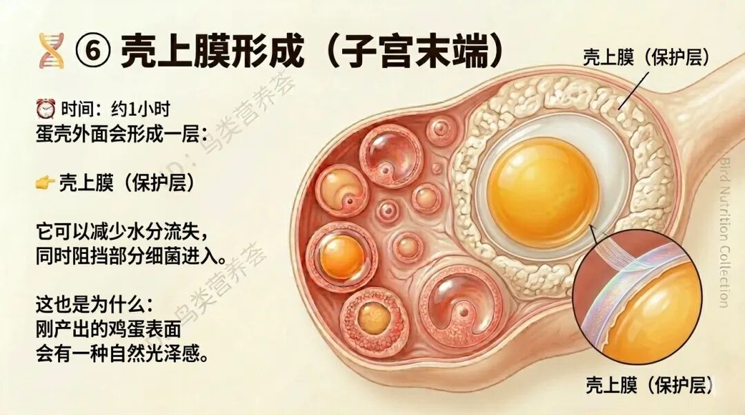 qw7.jpg