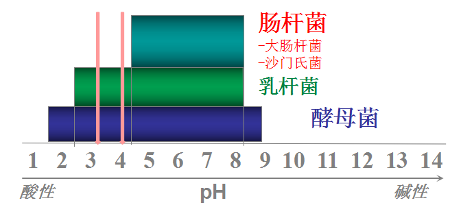 qw2.jpg