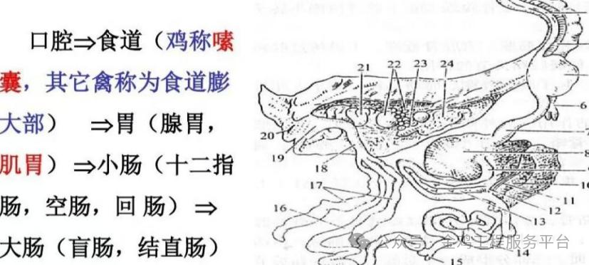 qw1.jpg
