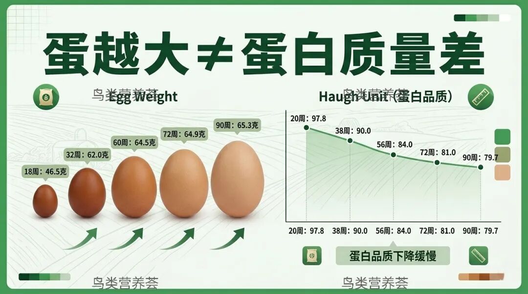 qw3.jpg