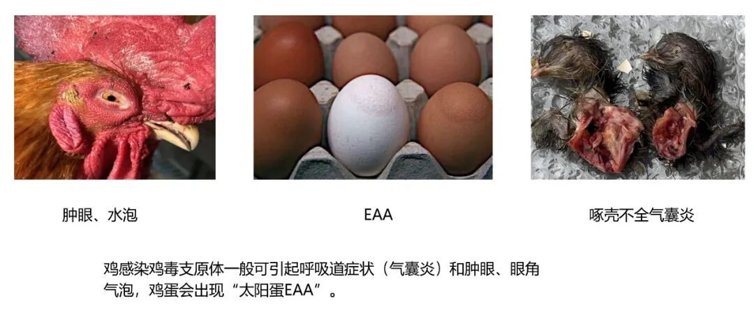 qw7.jpg