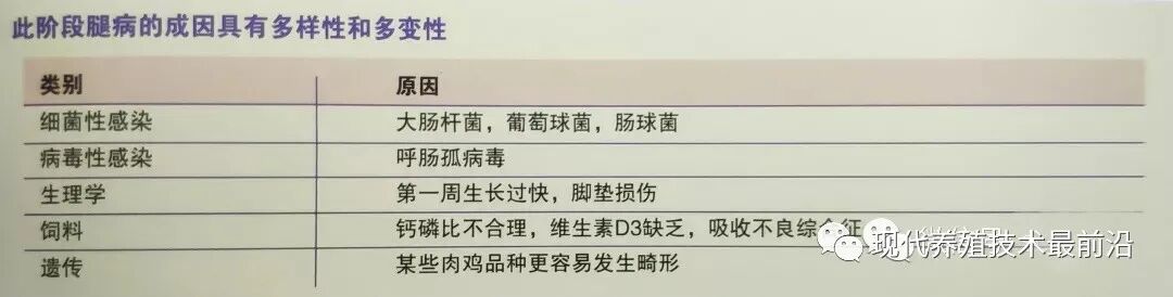 qw4.jpg