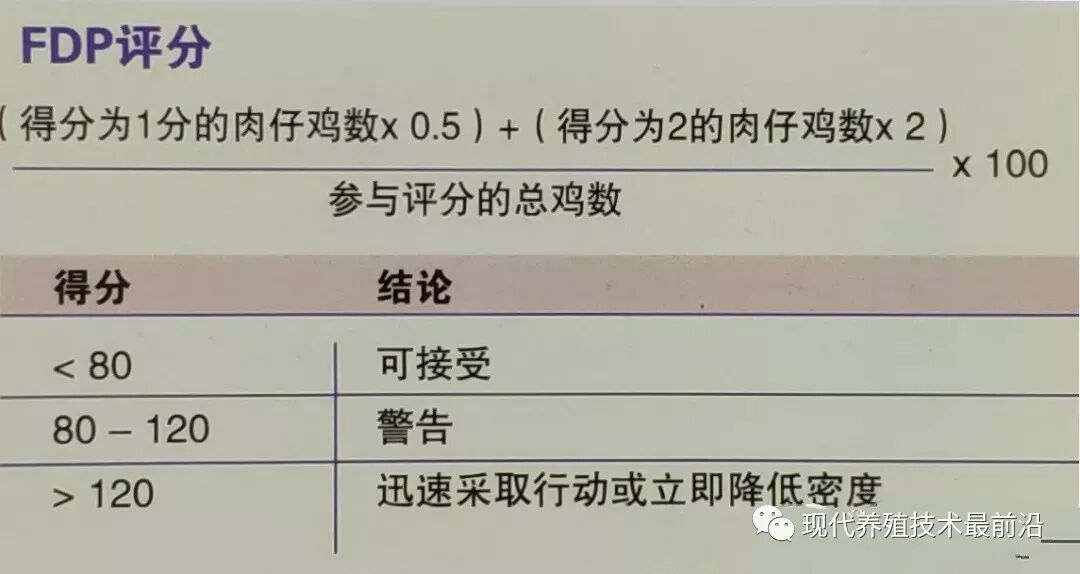 qw14.jpg
