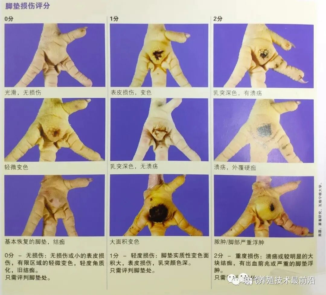 qw15.jpg