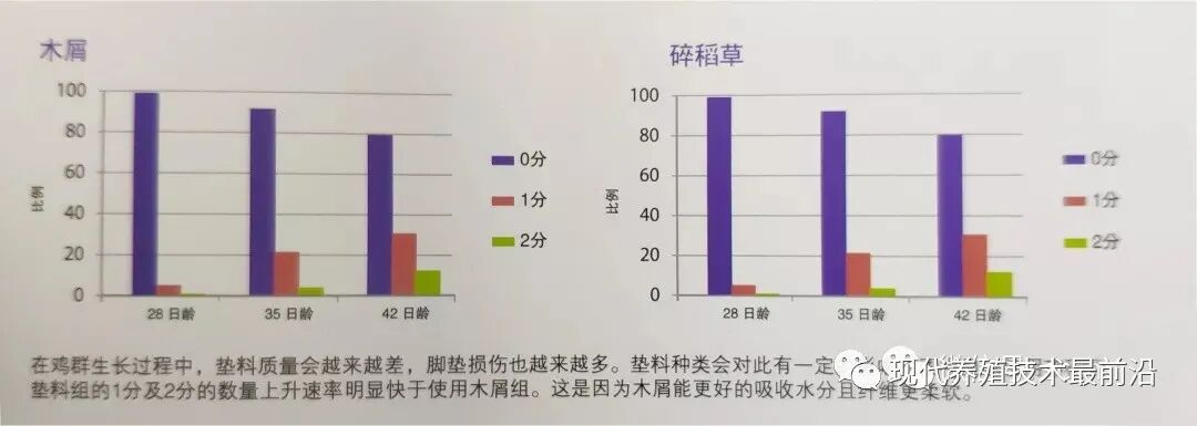 qw19.jpg