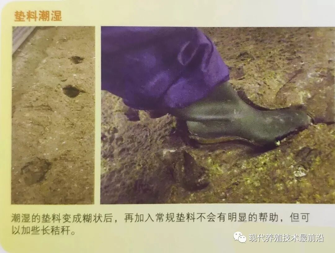 qw28.jpg