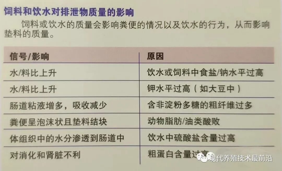 qw35.jpg