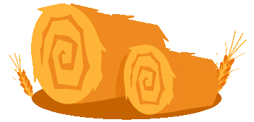qw7.jpg