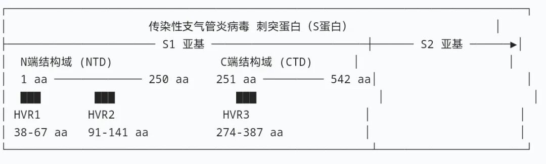qw6.jpg