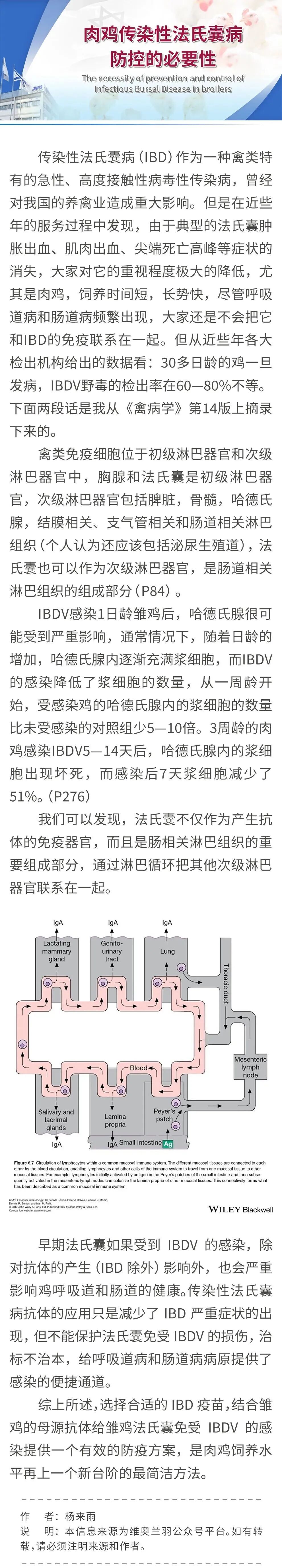 qw1.jpg