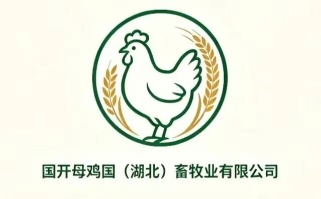 qw5.jpg