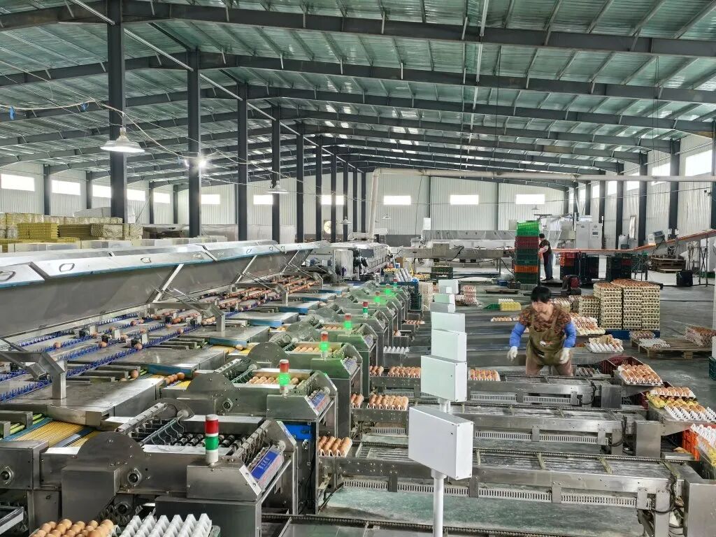qw5.jpg