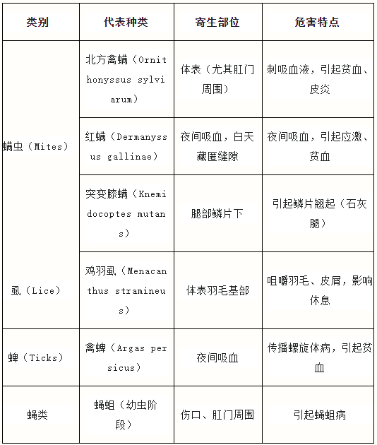 qw5.jpg
