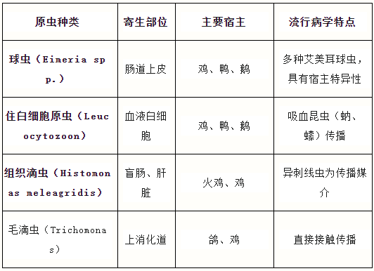 qw3.jpg