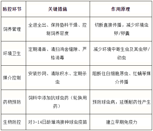 qw11.jpg