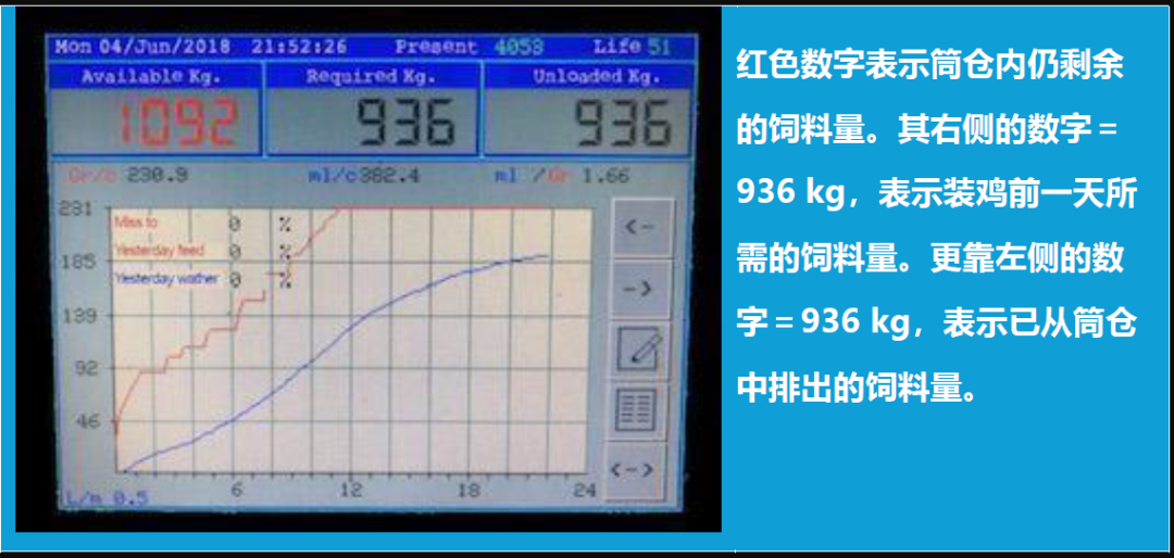 qw5.jpg