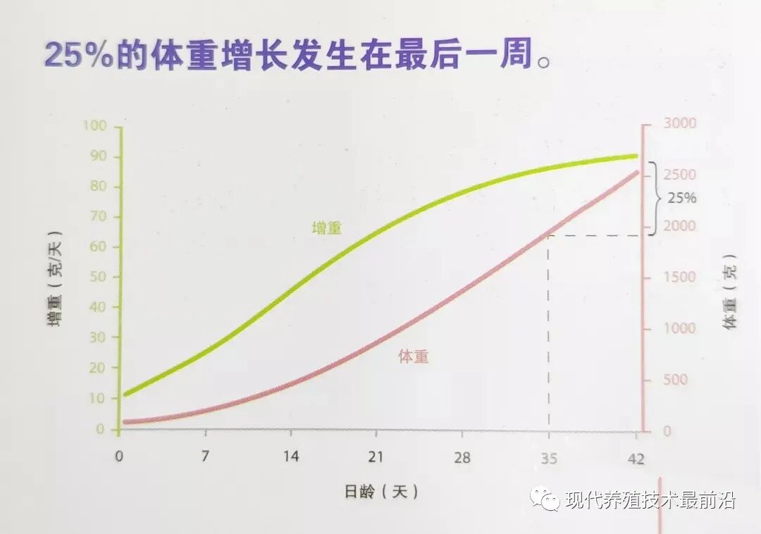 qw3.jpg