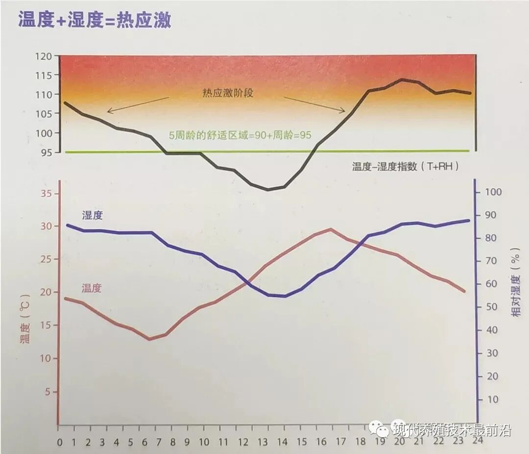 qw6.jpg